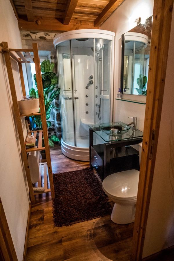 Apartment Loire-gerbier-mezenc *